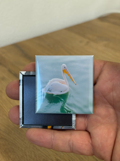 Photemia Magnets